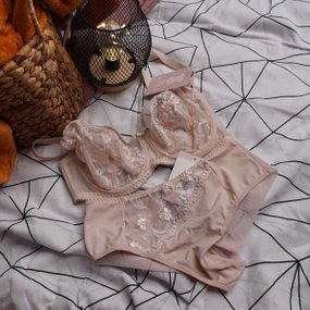 Gorsenia K578 brazyliany ROMA